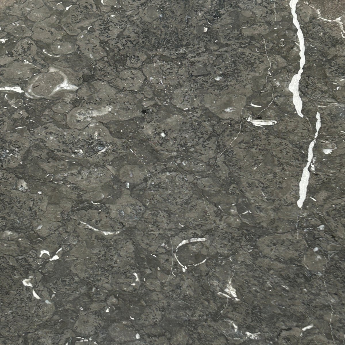 210 Credenza by Knoll @ REHAUS