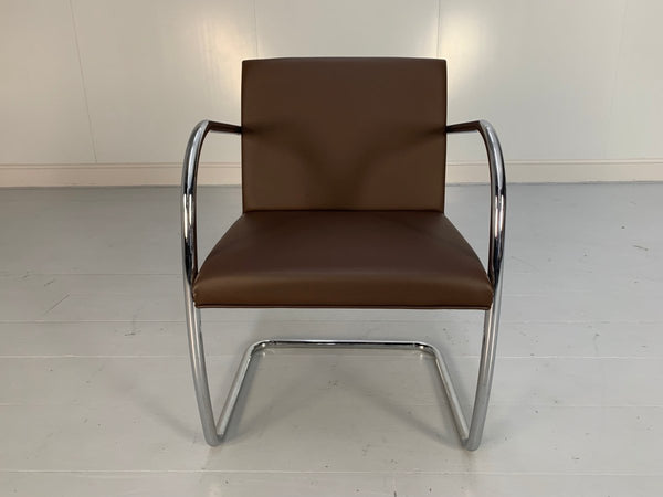 Knoll Studio Brno Tubular Lounge Chair Armchair - in Mid Brown Leather @ REHAUS