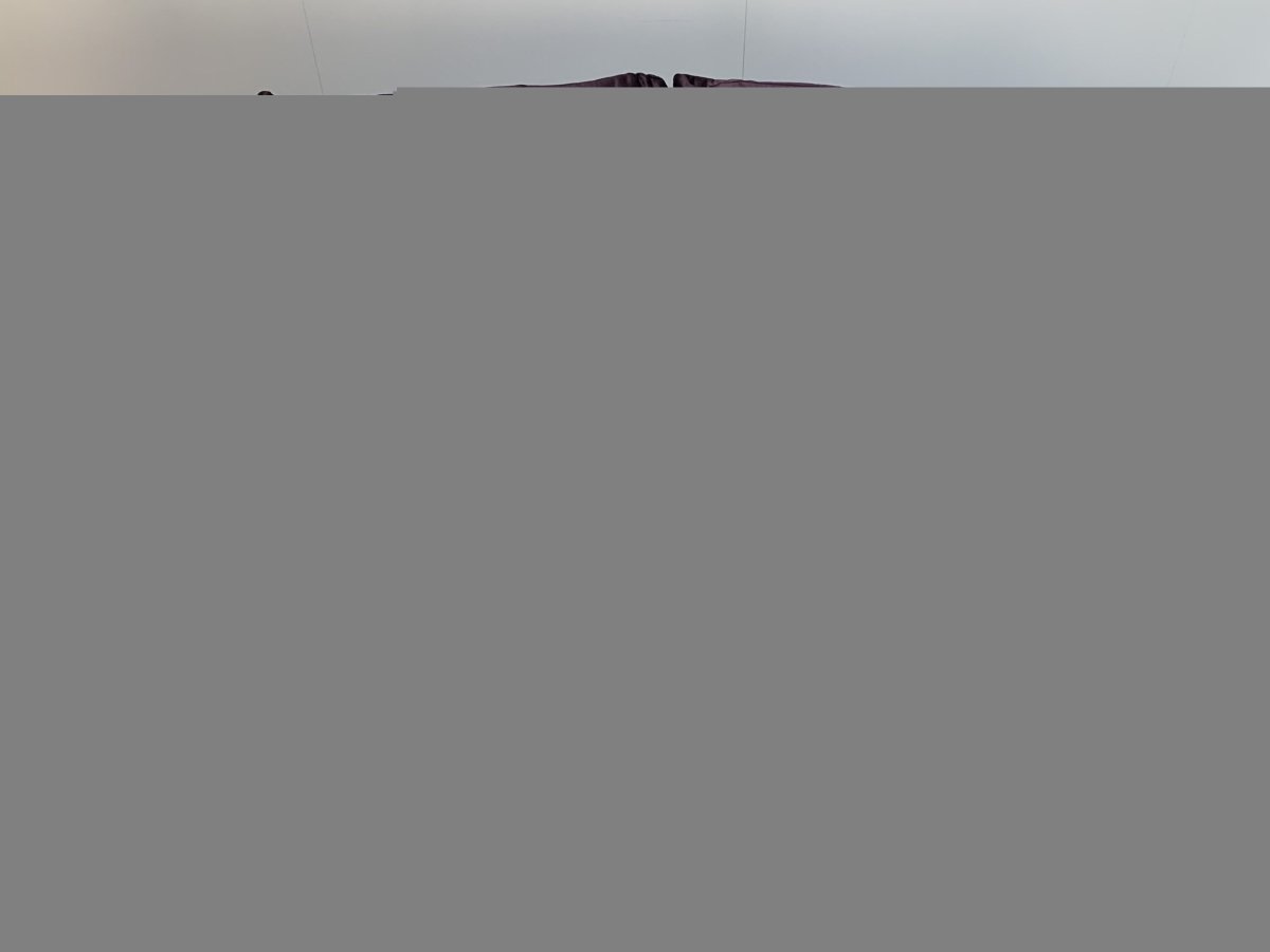 Roche Bobois Formentera Sofa - 5 - Seat Curved - In Chenille @ REHAUS